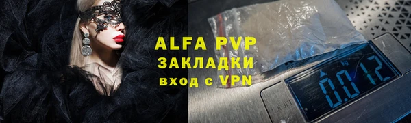 дживик Козельск
