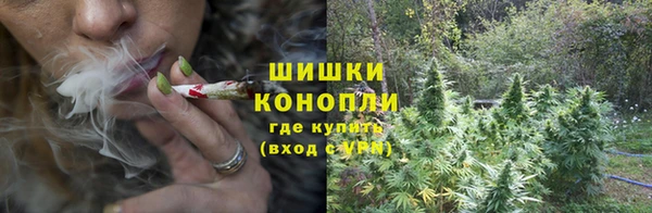 твердый Кодинск