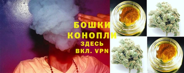 дживик Козельск