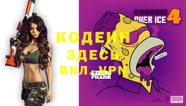 дживик Козельск