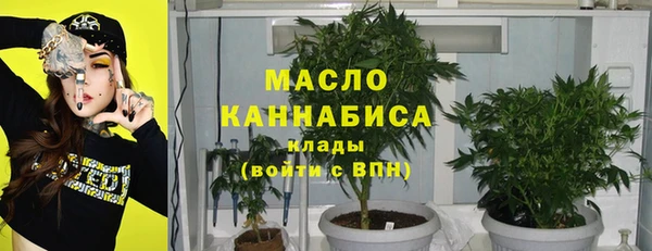 дживик Козельск