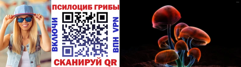 как найти   MEGA tor  Галлюциногенные грибы мухоморы  Лесной 
